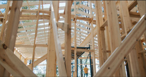 Bauen mit Holz: Warum sich immer mehr Bauherren fÃ¼r die Holzbauweise entscheiden