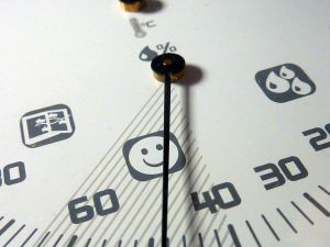 Die optimale Luftfeuchtigkeit in Räumen