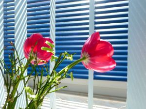 Rollläden-Steuerung per Zeitschaltuhr