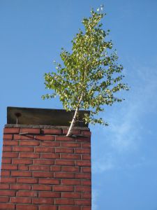 Tipps zum Schornstein verkleiden