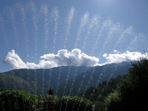 Zu trocken oder zu feucht?