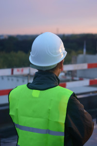 BaumÃ¤ngel rechtzeitig erkennen