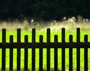Tipps für den richtigen Gartenzaun