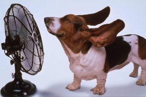 Kosten-,Wärme- und Energieregulation mit Ventilatoren