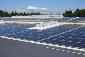 Priogo senkt Preise für Solarstromanlagen um 30 Prozent
