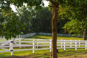 Zaunsysteme für das Eigenheim 