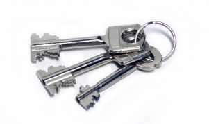 Beim Jäger und Sammler zu Hause