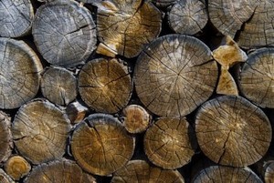 Der Herbst kommt: Brennholz machen nicht vergessen