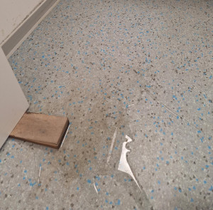 Wasserschaden beseitigen