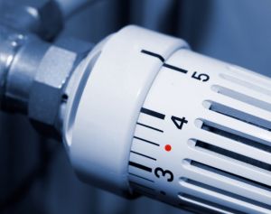 Eigenleistung beim Hausbau: Chance und Risiko zugleich